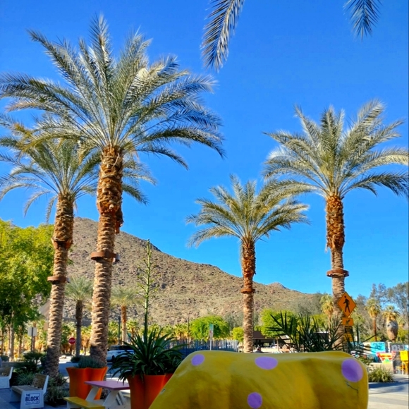 Meet your Posher, Tina - Picture 2 of 2